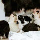 u3627-WhatsApp-Image-2026-03-21-at-16.39.03