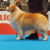 u3627-unnamed-file-1.jpg-1