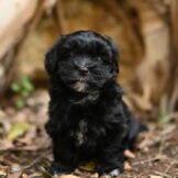 u5259-WhatsApp-Image-2026-03-13-at-13.51.14