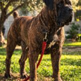 u5297-91419281-3a3a-4c94-ab3d-76f97ad8a4a6