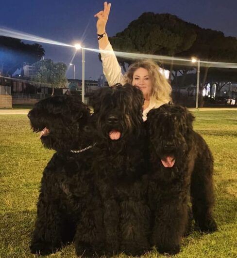 טרייר רוסי שחור