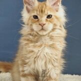 u3453-photo_2026-04-26_14-22-35-1