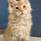 u3453-photo_2026-04-26_14-22-35-2