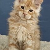 u3453-photo_2026-04-26_14-22-36