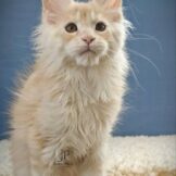 u3453-photo_2026-04-27_19-35-21