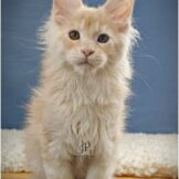 u3453-photo_2026-04-27_19-35-22