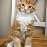 u3453-photo_2026-04-27_19-35-23