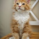 u3453-photo_2026-04-27_19-35-23-2