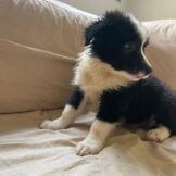 u3627-WhatsApp-Image-2026-04-05-at-11.53.15-1