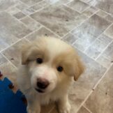 u3627-WhatsApp-Image-2026-04-05-at-11.53.15