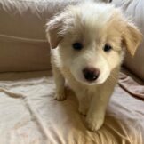 u3627-WhatsApp-Image-2026-04-05-at-11.53.16-1