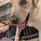 u3987-WhatsApp-Image-2026-04-06-at-10.46.47-AM