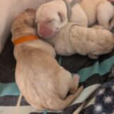 u3987-WhatsApp-Image-2026-04-06-at-10.48.23-AM