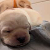 u3987-WhatsApp-Image-2026-04-06-at-10.56.24-AM-1