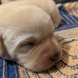 u3987-WhatsApp-Image-2026-04-06-at-10.56.24-AM-2