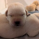 u3987-WhatsApp-Image-2026-04-06-at-10.56.24-AM-3