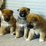 u5304-IMG-20260328-WA0015