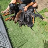 u5321-998343b9-6fff-425b-a6a7-b92468e49aae