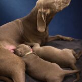 u5322-00375681-3400-4657-b871-c19ed254358b