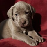 u5322-31b04fac-cdd7-4bab-abe0-0bcb93b31284