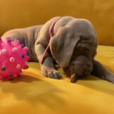 u5322-8fe4662e-e30c-4361-bec3-75a5b13911af