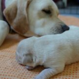 u5331-WhatsApp-Image-2026-04-11-at-20.45.04-1