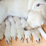 u5331-WhatsApp-Image-2026-04-11-at-20.45.04-2