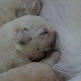 u5331-WhatsApp-Image-2026-04-11-at-20.45.04-3