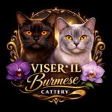 u716-640302306_26549592327979800_8971131254809932088_n