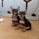 u214-2_DSC01641ssq