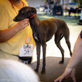 u3377-IMG_4853