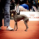 u3377-IMG_6499