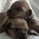 u3377-IMG_9664