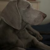 u5322-IMG_8533