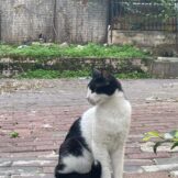 u5418-att.JvK1IhD5XH20-EKA_Em-3vkC3rU0Li4wni3KUY5VWYw-2