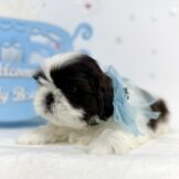 u3174-IMG_6725