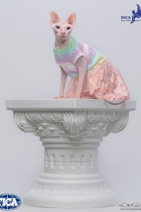 u716-282151732_7563018500435185_3521739201290160539_n