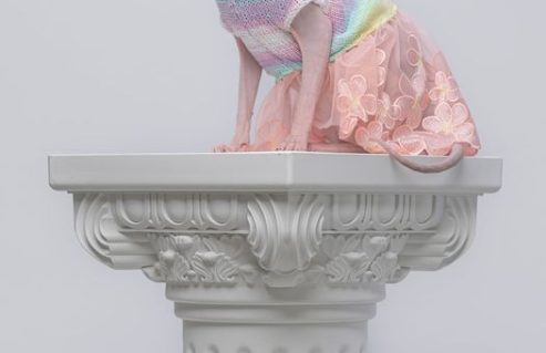 u716-282151732_7563018500435185_3521739201290160539_n