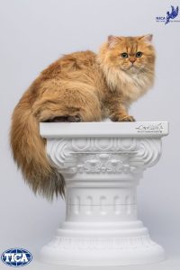 u716-284588643_7598242800246088_1430310474278977355_n