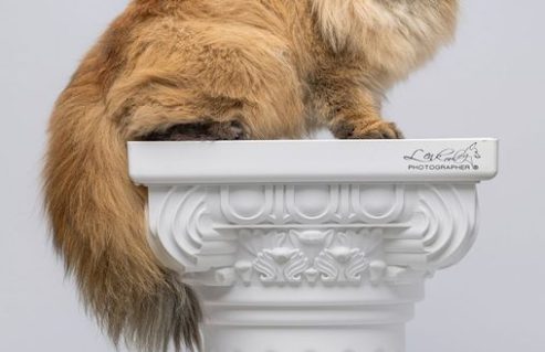 u716-284588643_7598242800246088_1430310474278977355_n