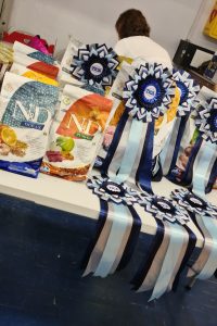 u716-314060146_5460484880716723_353407271359082322_n