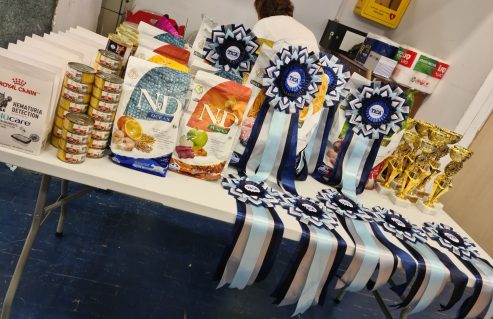 u716-314060146_5460484880716723_353407271359082322_n